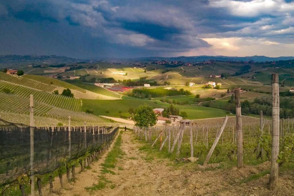 Ex Ostu Impero: Vino, Tartufo Ed Ospitalita Apartment La Morra Luaran gambar